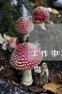 工作中與同事打架被剪刀刺成重傷是不是工傷？